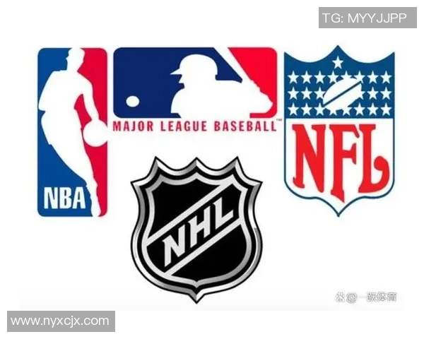 深入分析上海羽毛球队独特的防守策略与战术运用