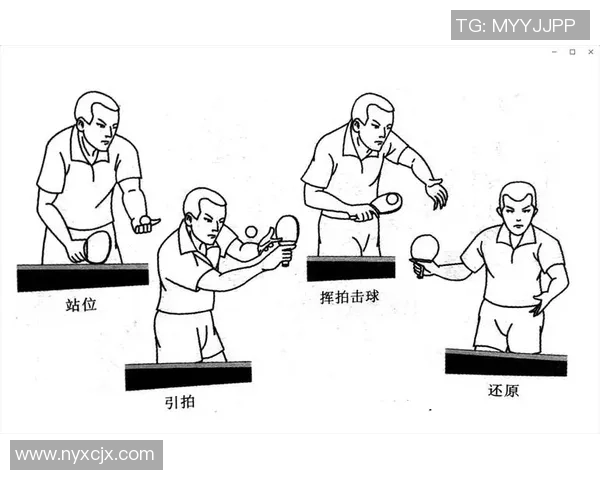 西安乒乓球队快攻打法深度解析与战术应用探讨